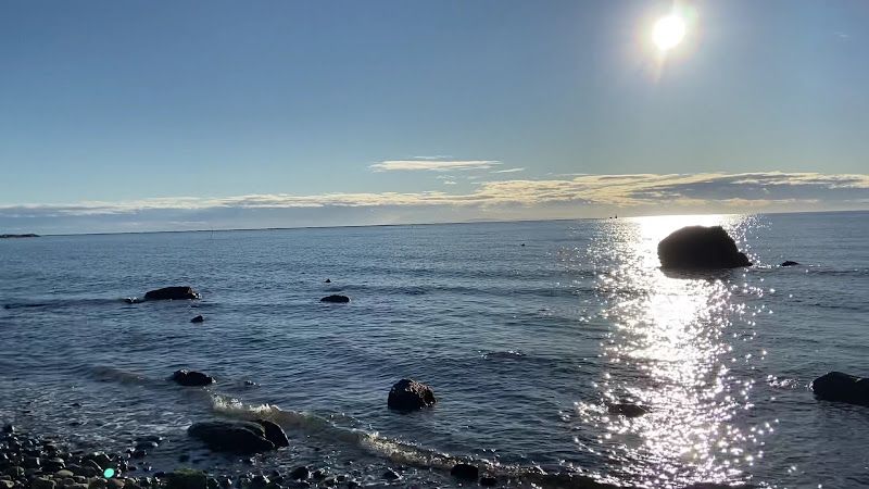 Beach 49.2651 -123.2628