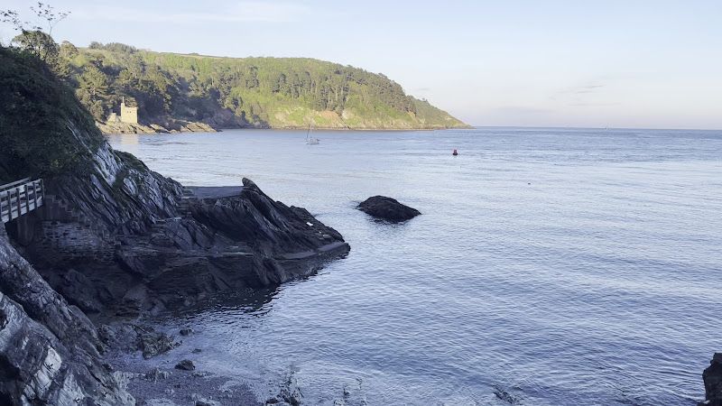 Buoy off Newfoundland Cove