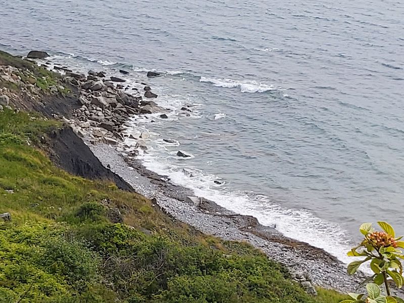 Portland Bill & Chesil Beach