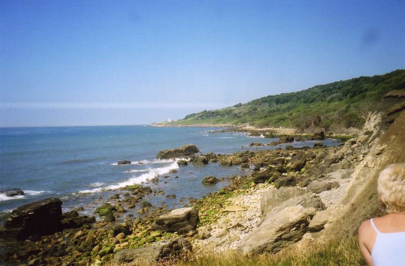 Beach cleaning, Binnel Bay