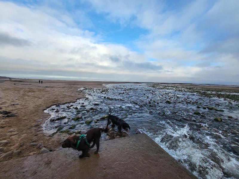 West Somerset : Dunster Beach Holiday Village