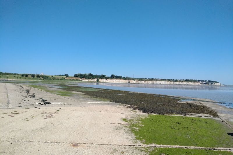 Pegwell Bay Nature Reserve