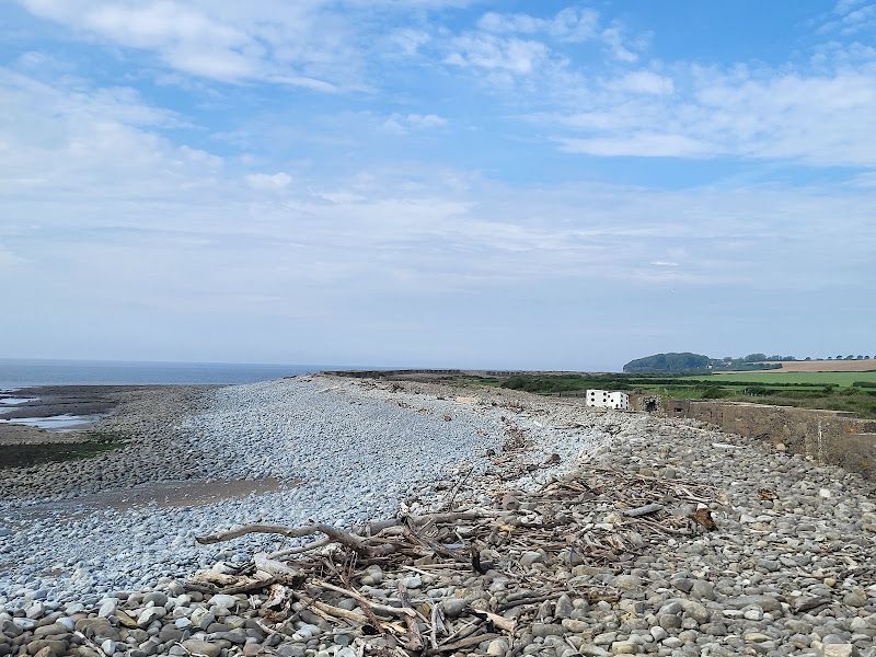 Whale on beach near Aberthaw Power Station