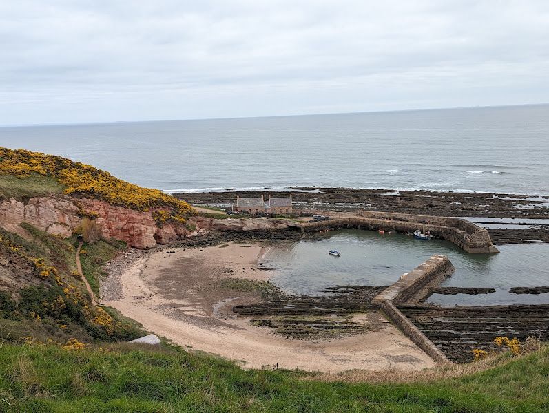 House by Cove Harbour