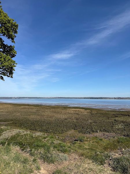 The Essex Way 157: approaching Strandlands