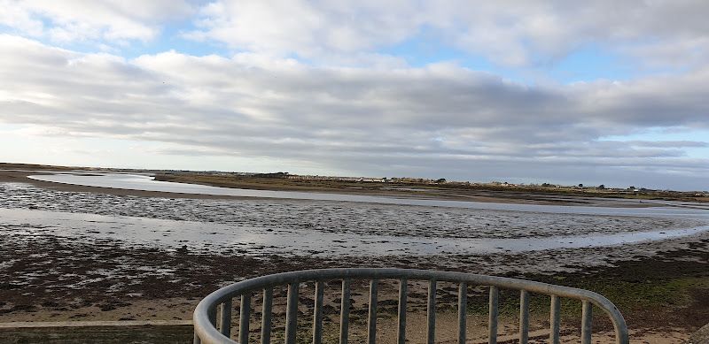 Sand dunes by Ballyteige Burrows