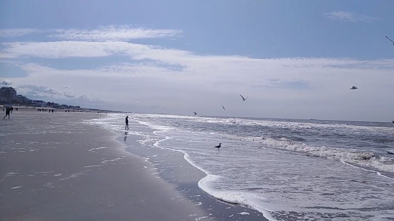 26112011-SPR_2311 (Large)