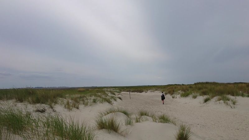 Borkum Nordstrand