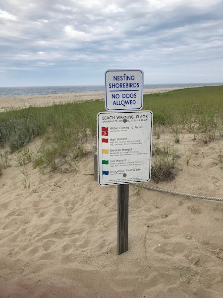 Head of the Meadow Beach