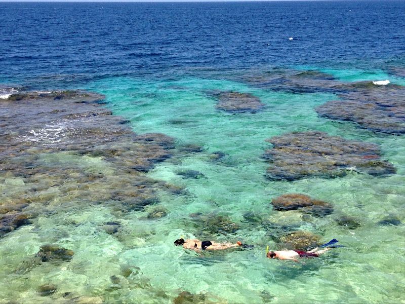 coral reef hotspot