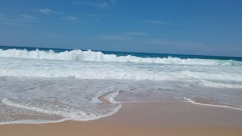 Ecole de surf Atlantic Surf Lodge