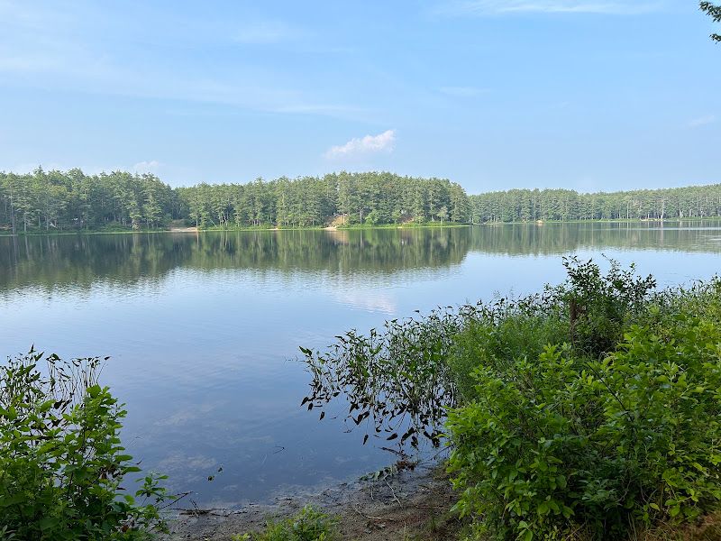 Lake Dennison Picnic & Swim Area