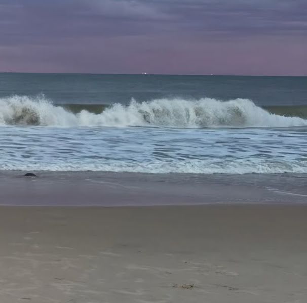 Bethany Surf Shop