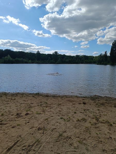 Lac de la Forêt