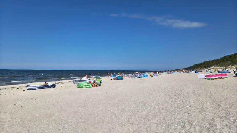 "W sosnowym lesie" Ośrodek Wypoczynkowy