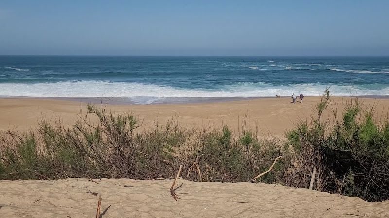 Beach Ondres 1