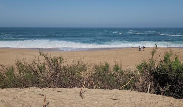 Beach Ondres 1