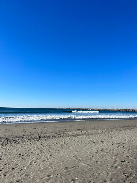 The Surf Shop