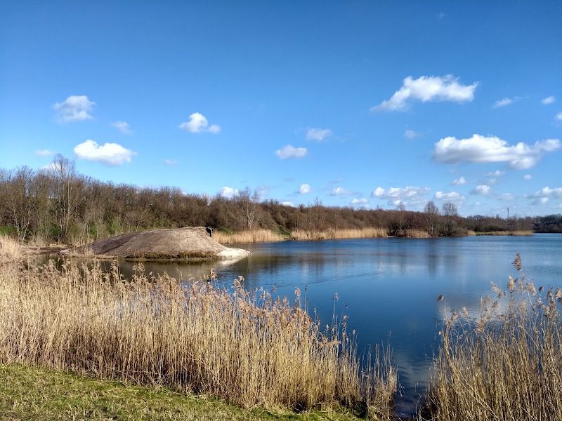 Natuurzwemmen Water aan de Warande