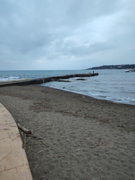 Amici del mare surf and skate school