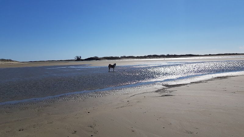Beach Saintes-Maries-de-la-Mer