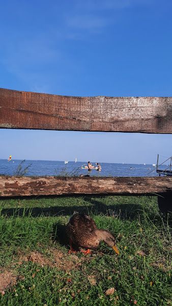 Józsefvárosi önkormányzat gyermeküdülő strandja