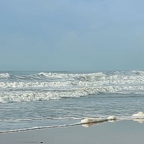 Playa Pico del Loro