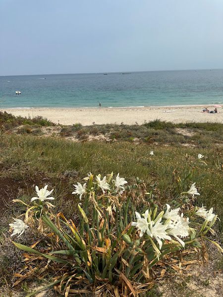 La Plage sous le phare