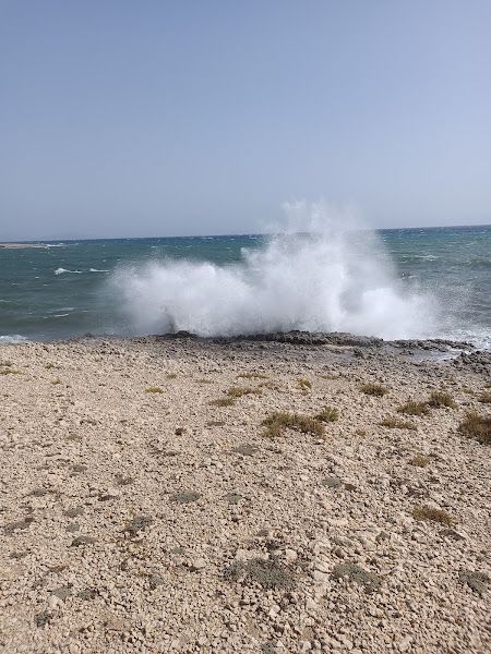 Beach Sausset-les-Pins