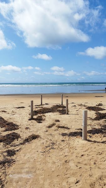 Plage de Porh Lineneu