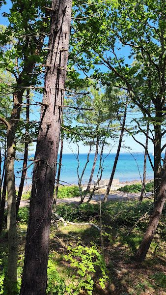 Stranden ved Hornbæk Plantage