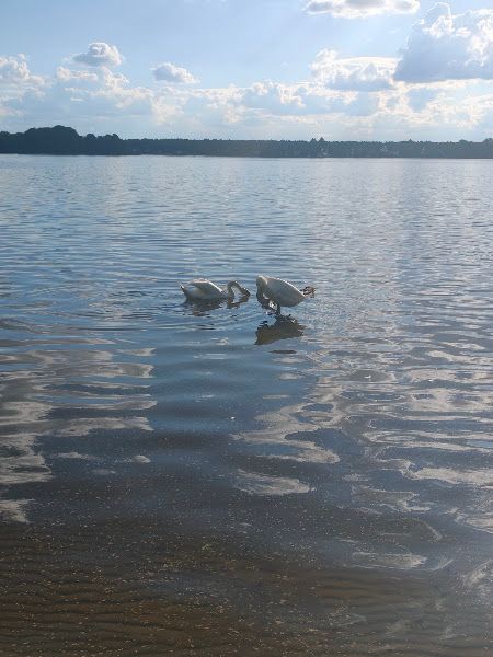 Freizeit- und Erholungsfläche am Dämeritzsee