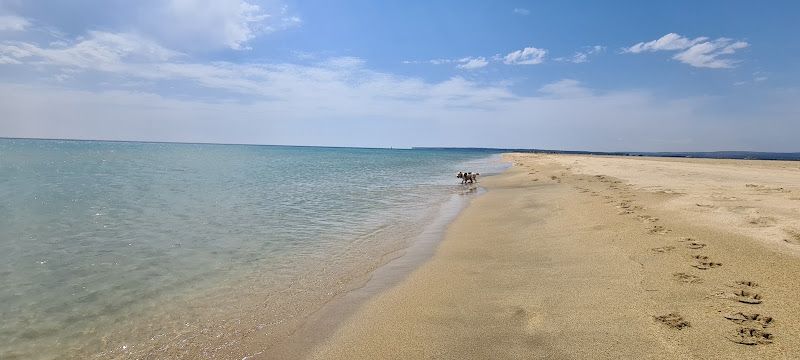 Beach Beaumont-lès-Valence