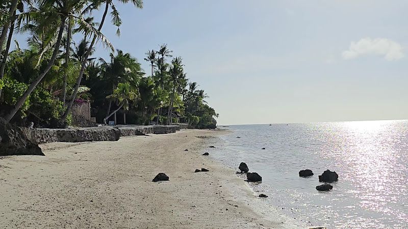 Anda White Beach Resort