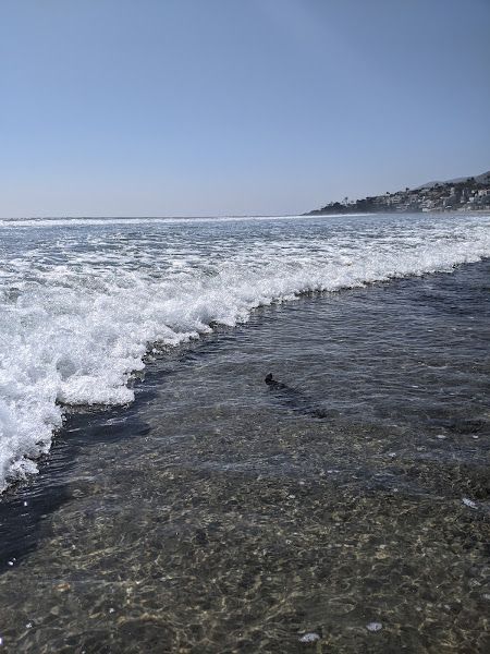 Las Trancas Beach