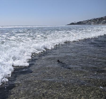 Las Trancas Beach