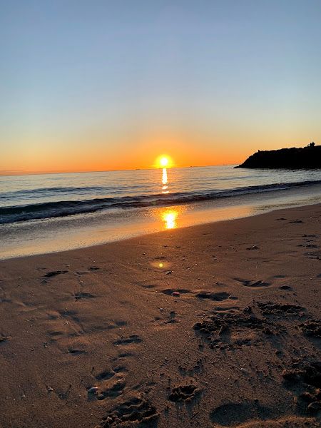 North Coogee Dog Beach