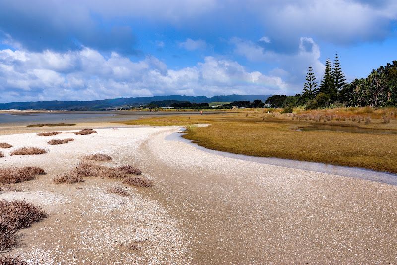 Waipū Government Purpose (Wildlife Refuge) Reserve