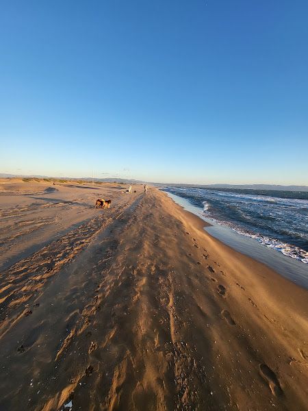 Platja de la Bassa de l'Arena