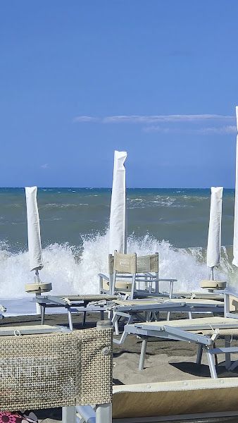 Cormorano