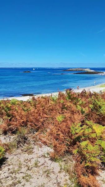 plage de l'île Saint-Nicolas