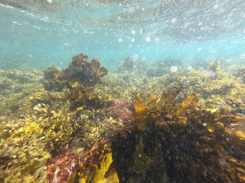 Boy in the boat reef