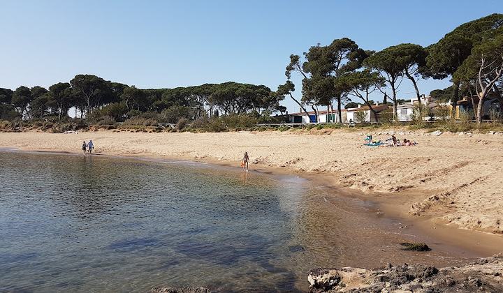 Platja del Rec de Canet