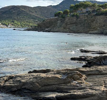 Platja de Sota s'Arenella