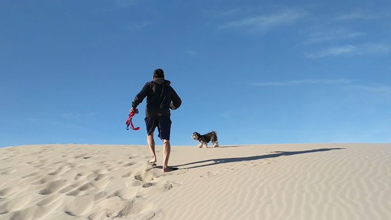 Oceano Dunes