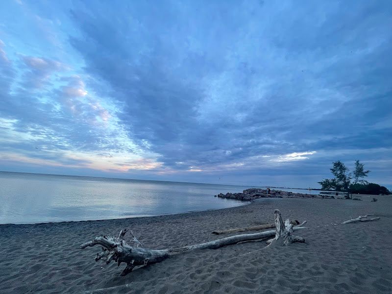 Silver Birch Beach