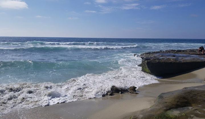 La Jolla Tide Pools