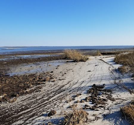 Moores Beach