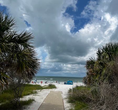 Dunedin Beach