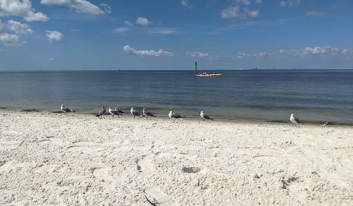Bahia Beach